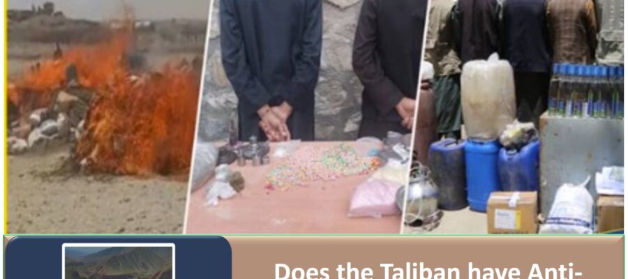 Does the Taliban have Anti-Narcotics Police?