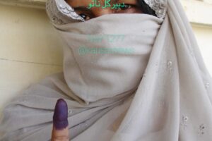 Political Change in Afghanistan: A Reform-Oriented Transition Ahead