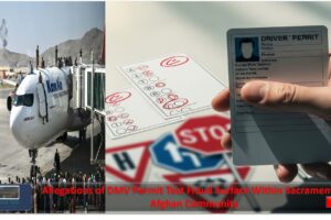 Allegations of DMV Online Permit Test Fraud Surface Within Sacramento’s Afghan Community