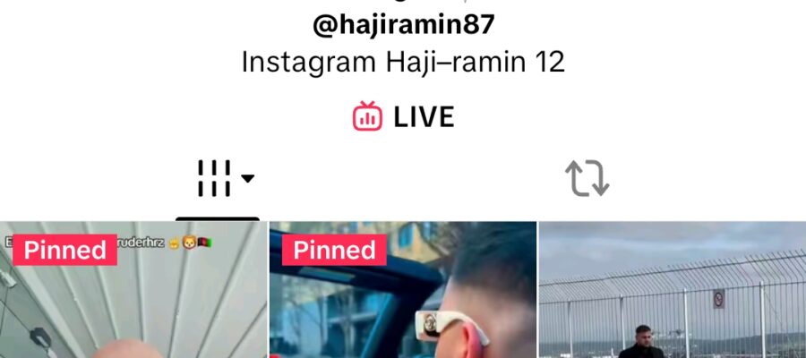 Attempted Attack in Germany: The Case of Haji Ramin and Mr. Babrak